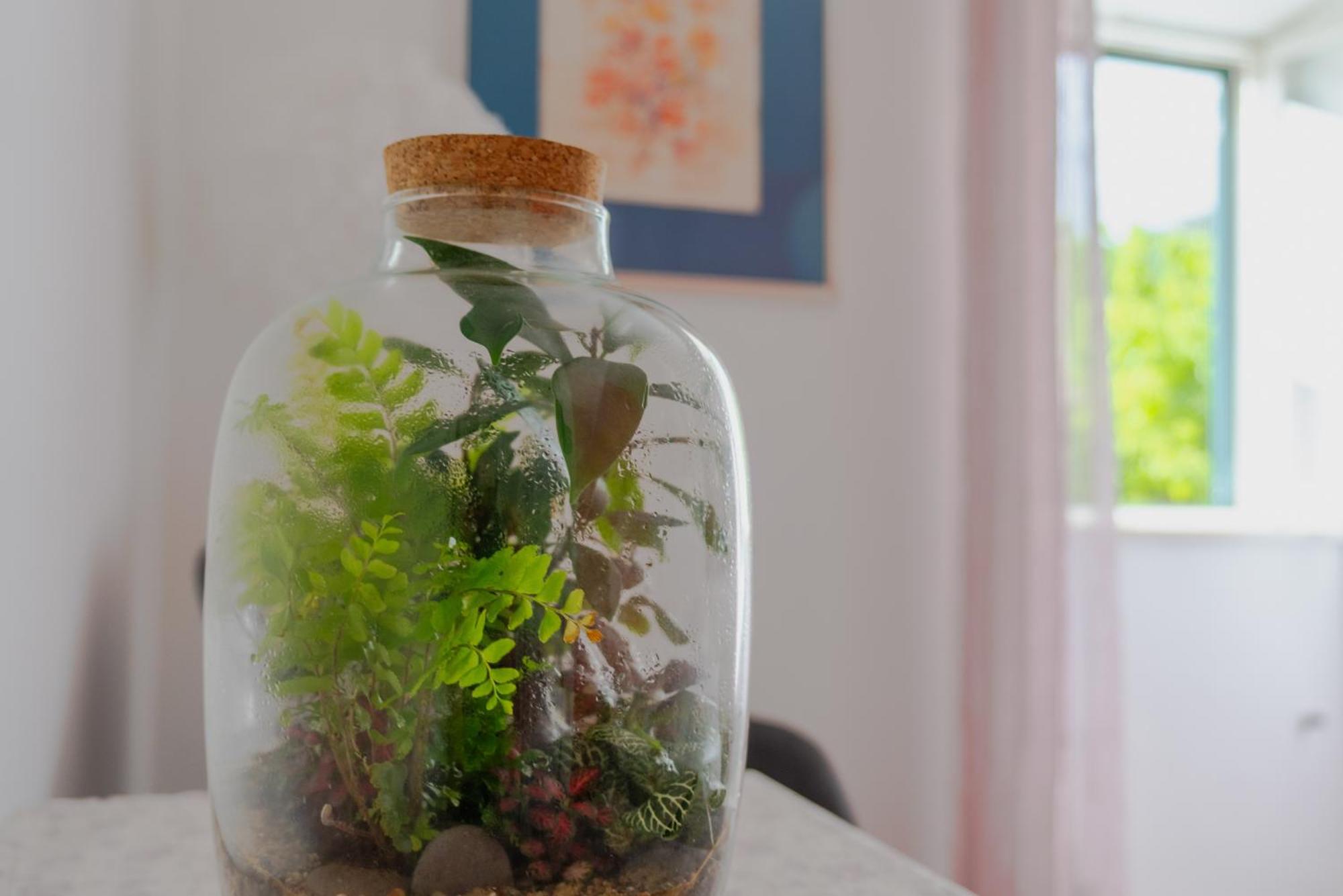 זאטון Art Apartment Seasoul מראה חיצוני תמונה